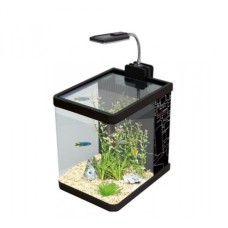 Nano acuario 10l