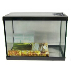 Cristal Box 