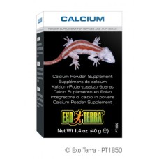 Calcio para reptiles Exo Terra 40 gramos