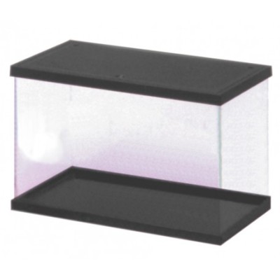 Fauna box Cristal con marco negro