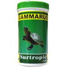 Gammarus - 31 gramos