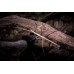 Insecto Palo - Phasmatodea